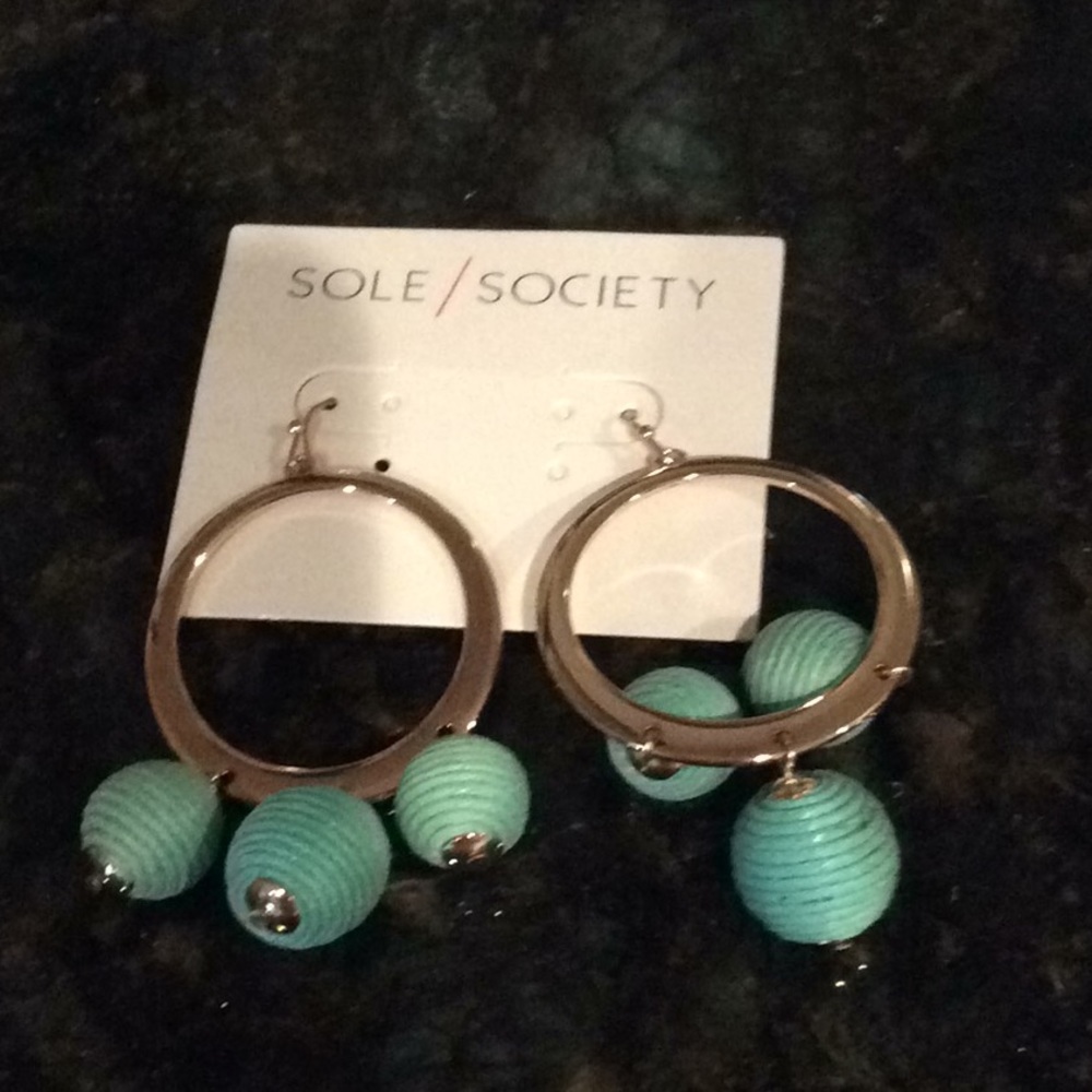 Sole Society earrings - super cute!  Never worn